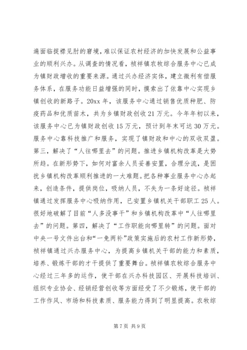 关于X镇农牧综合服务中心建设有关情况的调查.docx