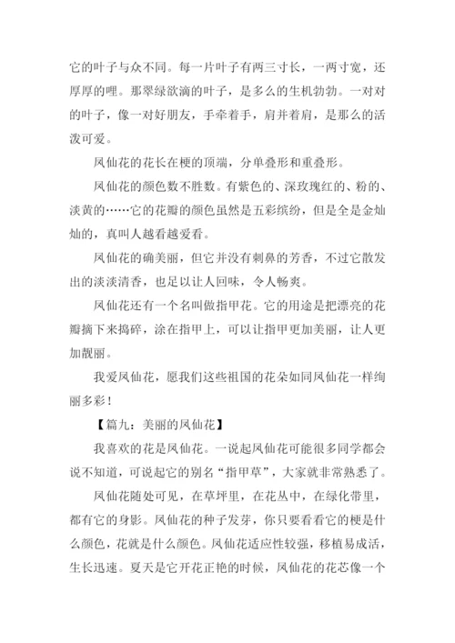 美丽的凤仙花作文.docx