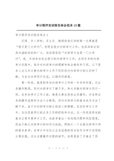 审计程序实训报告体会范本10篇.docx