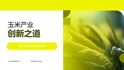 玉米产业创新之道