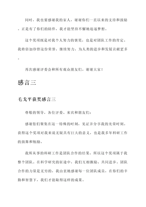 毛戈平获奖感言