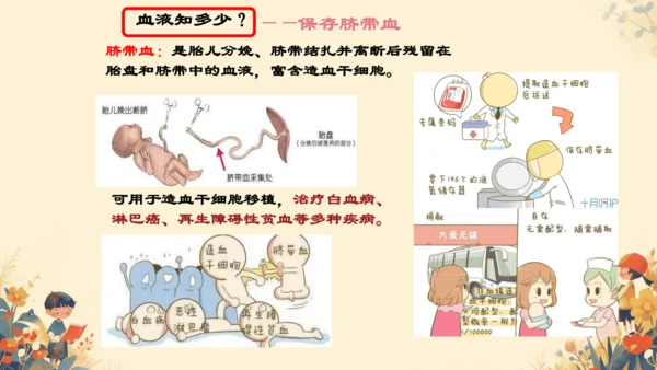 4.4.1流动的组织──血液课件(共27张PPT)人教版七年级下册
