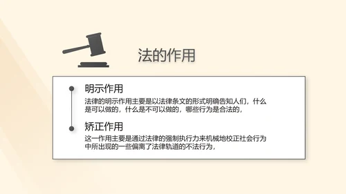 深入学习宣传法治宪法法律行政法规规章PPT