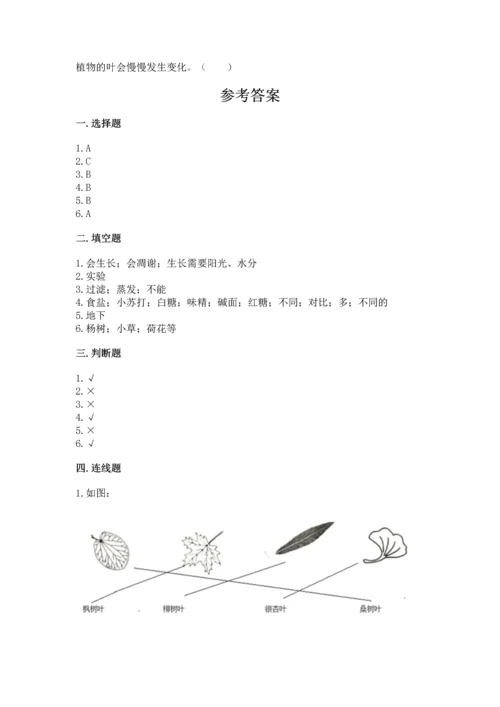 教科版科学一年级上册第一单元《植物》测试卷附答案【培优】.docx