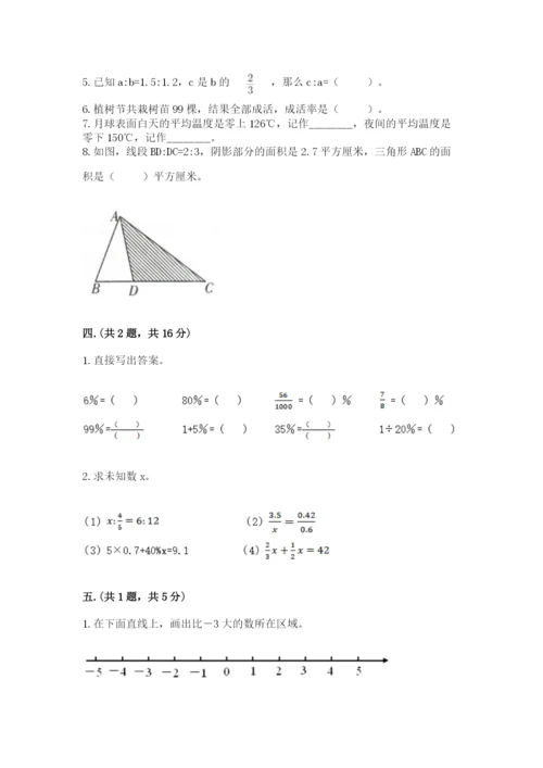 小学六年级下册数学摸底考试题精品【易错题】.docx