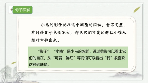 【核心考点】语文部编版五年级上册第三单元复习 课件
