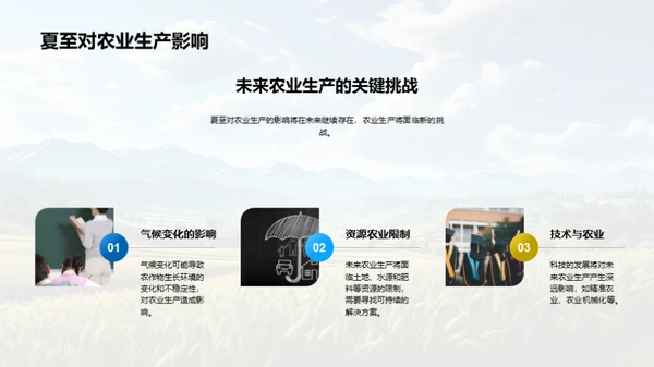 夏至影响下的农业
