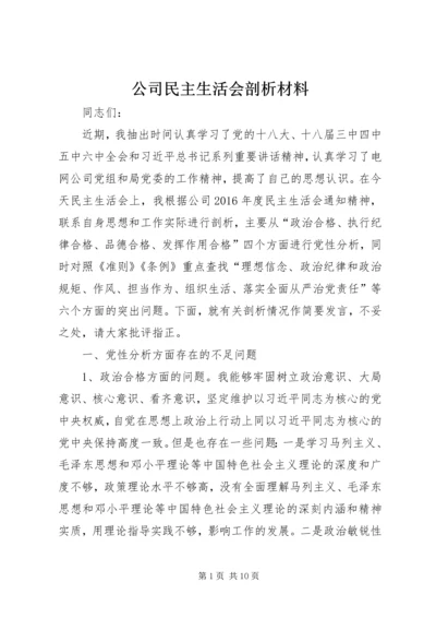 公司民主生活会剖析材料.docx