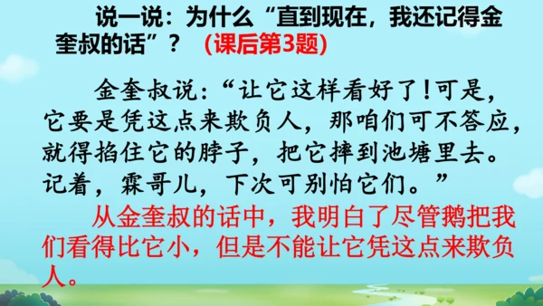 18 牛和鹅   课件