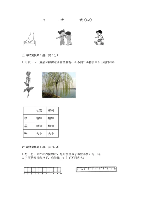 教科版科学一年级上册期末测试卷及答案（精品）.docx