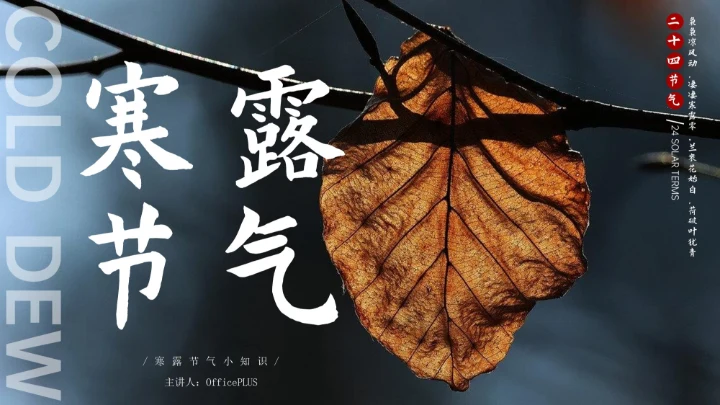 瓷青色简约风寒露节气PPT模版