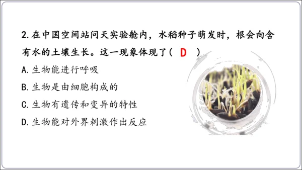 1.1&1.2 认识生物和细胞（复习课件）【2024人教新版七上生物高效完全备课】(共44张PPT)