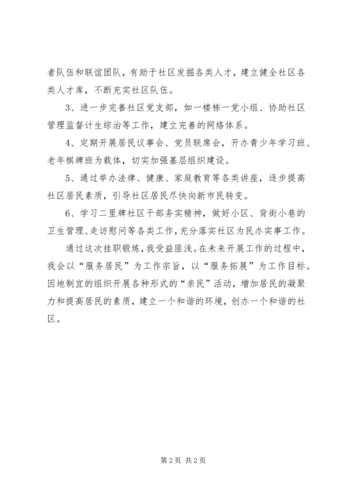 挂职干部工作计划.docx