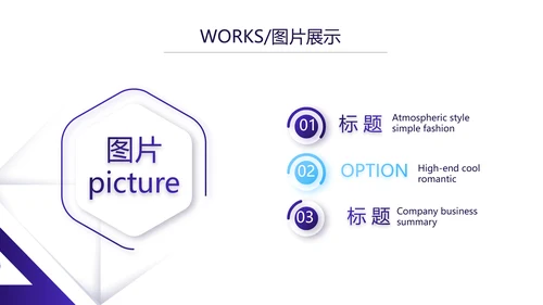 简约大气公司产品介绍图片展示PPT动态模板