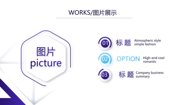 简约大气公司产品介绍图片展示PPT动态模板