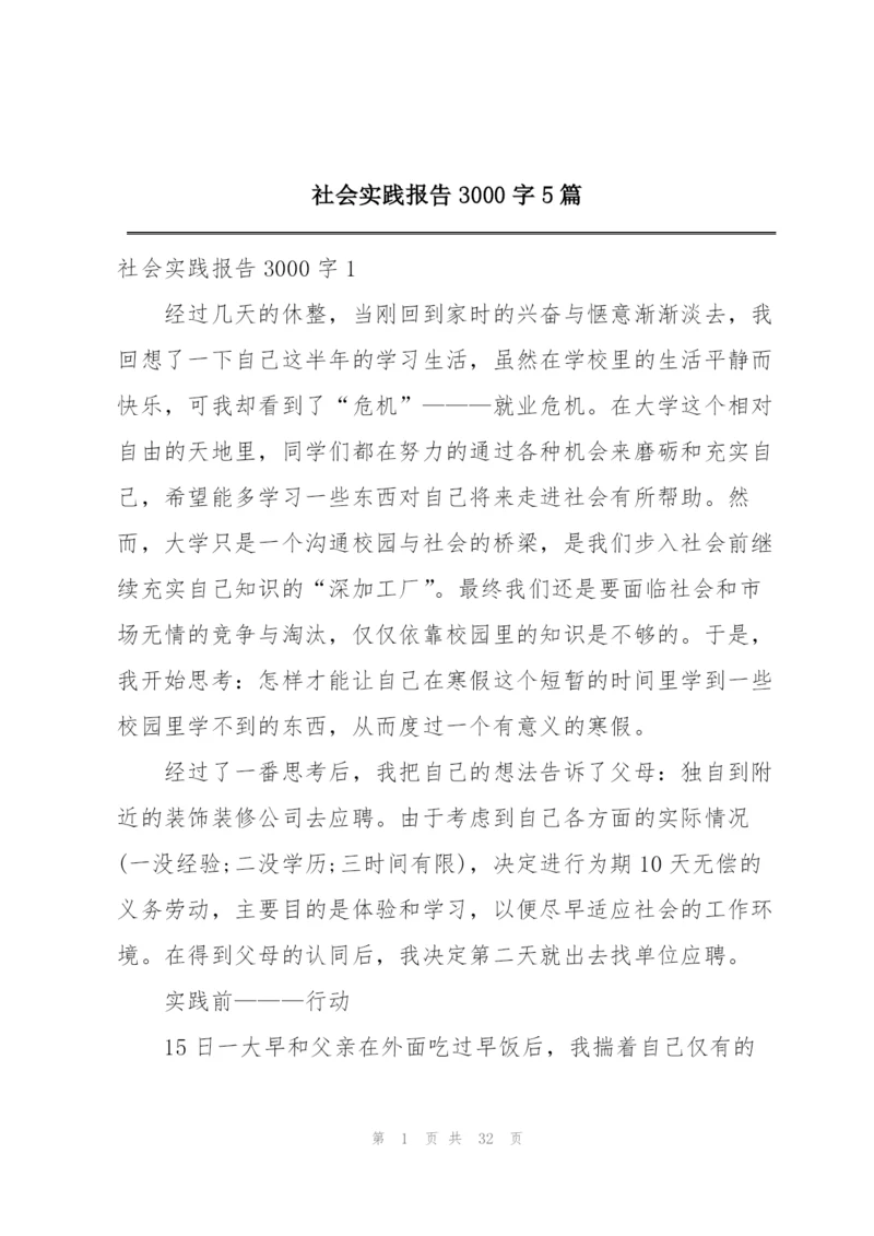 社会实践报告3000字5篇.docx