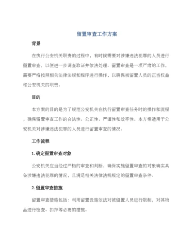 留置审查工作方案.docx