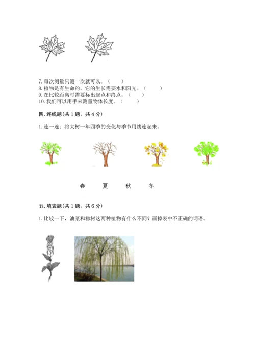 教科版科学一年级上册期末测试卷及完整答案（夺冠系列）.docx