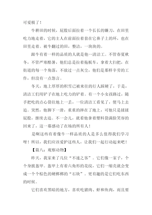 三年级作文观察动物.docx
