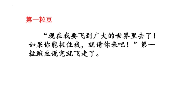 5《一个豆荚里的五粒豆》  课件