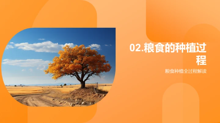 立秋季节与粮食种植