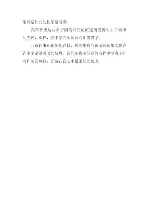 难忘的回忆作文.docx