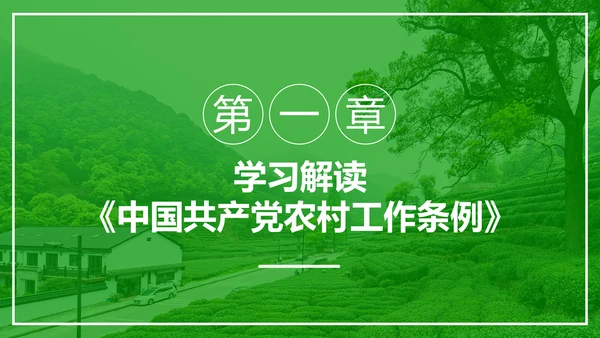 学习解读中国共产党农村工作条例PPT模板