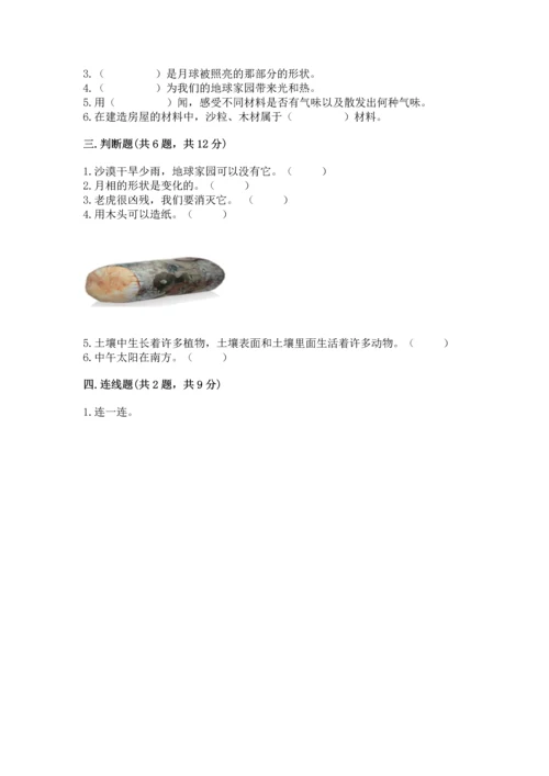 教科版二年级上册科学期末测试卷精品【实用】.docx