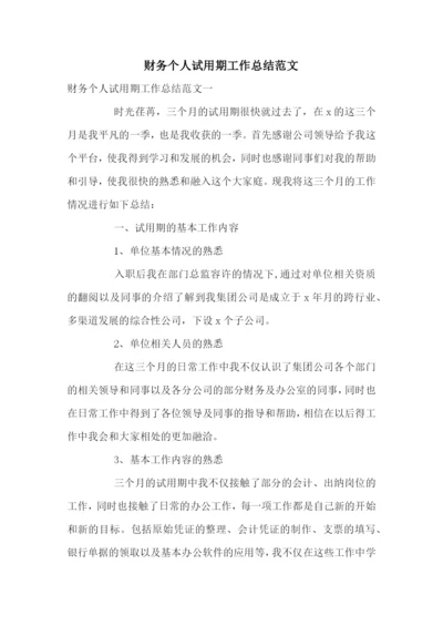 财务个人试用期工作总结范文.docx