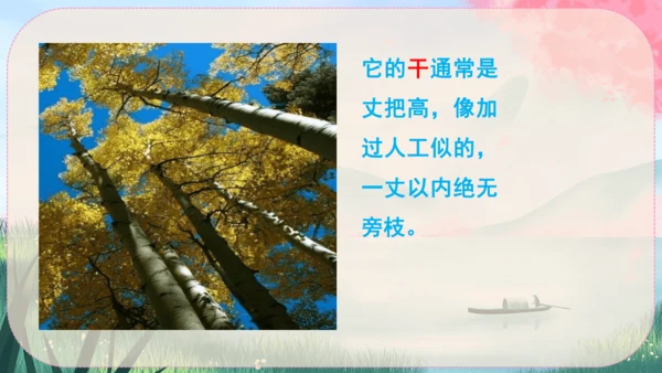 15《白杨礼赞》课件