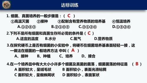 人教版生物七年级上册2.3.1《微生物的分布》课件(共22张PPT)+视频素材