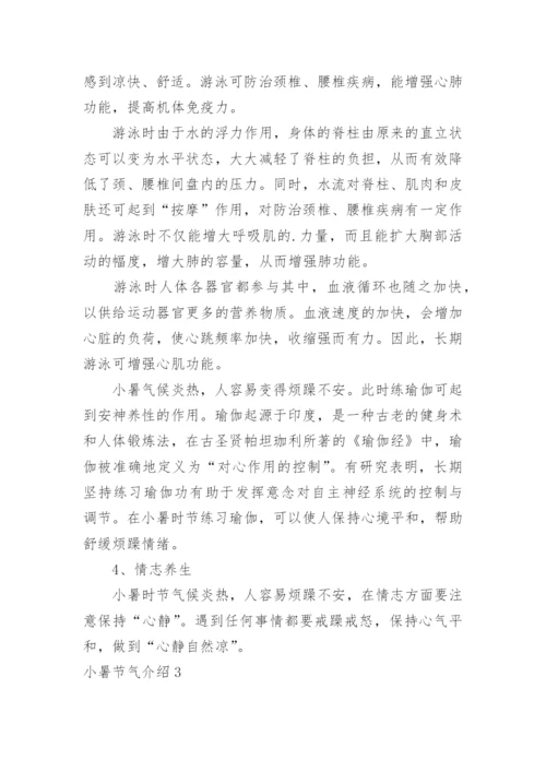 小暑节气介绍.docx