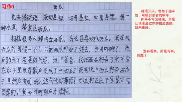 统编版三上第五单元 习作例文：我爱故乡的杨梅   课件