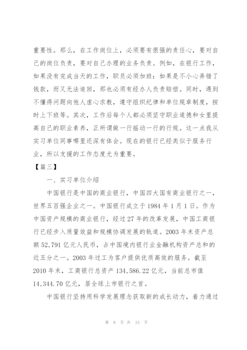 银行个人实习总结3000字范文.docx