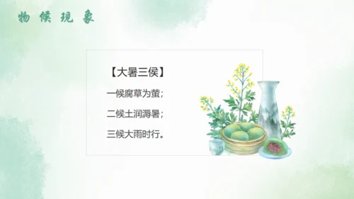 大暑节气中国风水墨荷花背景通用PPT模板