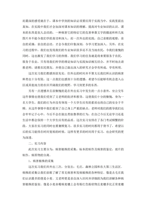 植物学实习报告模板汇编八篇.docx