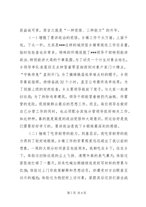 乡镇基层挂职工作总结.docx