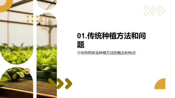 科技改变蔬菜种植