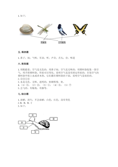 教科版一年级下册科学期末测试卷精品【巩固】.docx