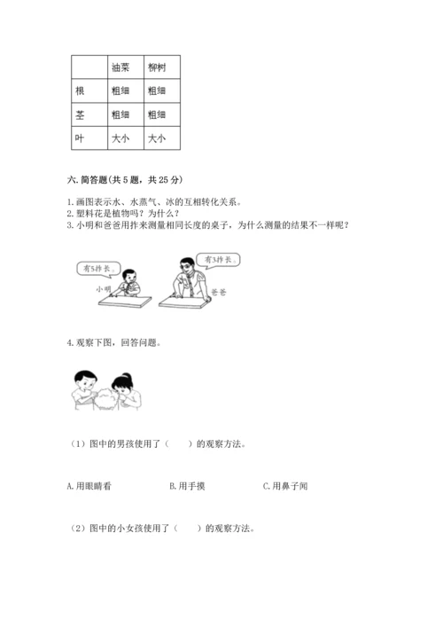 教科版一年级上册科学期末测试卷精品（夺冠系列）.docx