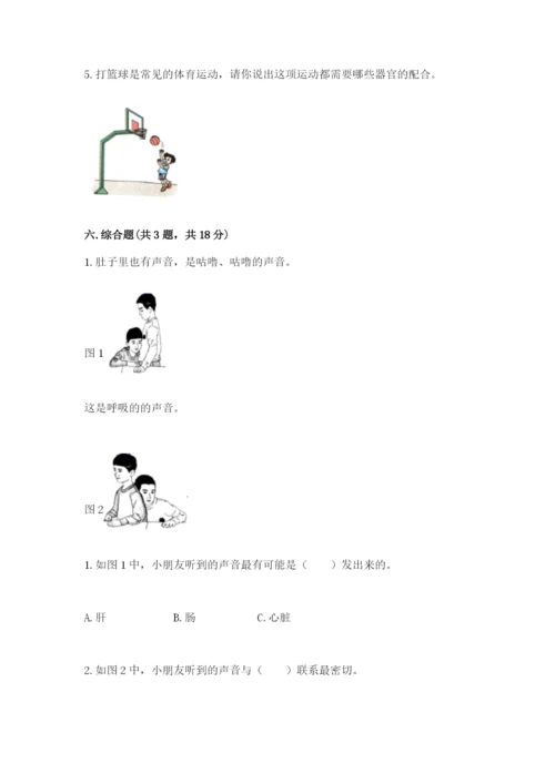 教科版小学科学二年级下册 期末测试卷精品.docx