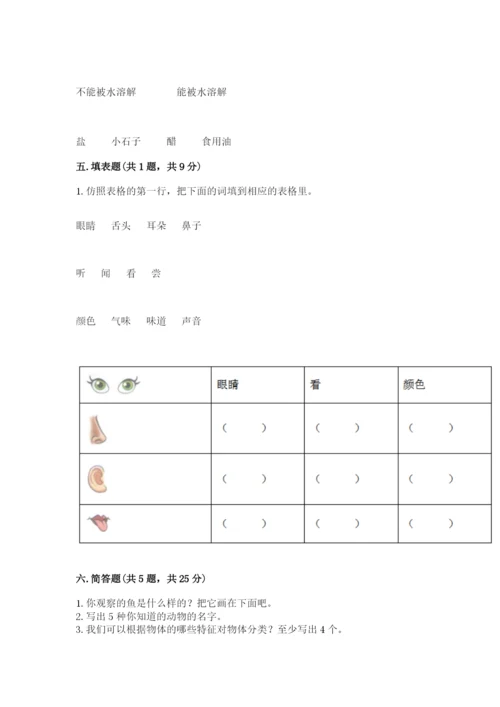 教科版小学科学一年级下册期末测试卷（有一套）.docx