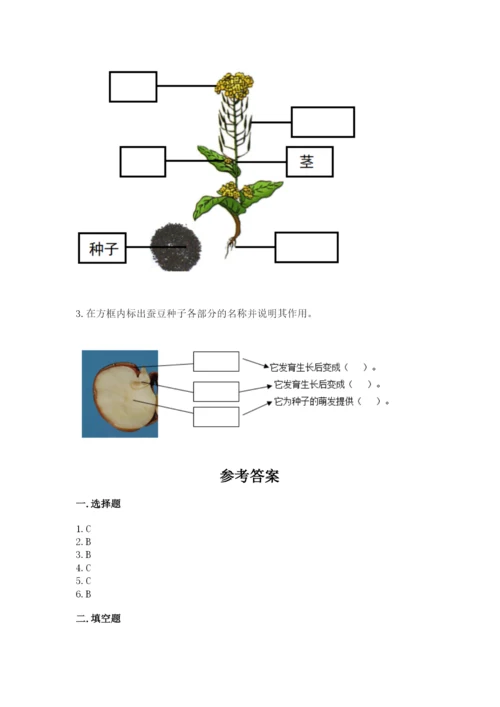 科学四年级下册第一单元植物的生长变化测试卷（达标题）.docx