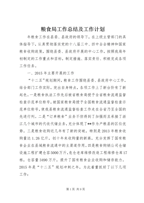粮食局工作总结及工作计划精编.docx