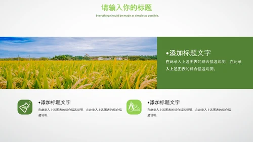 农业生产春耕三农新农村乡村振兴稻田水稻PPT