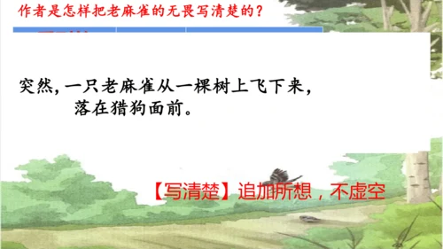 第16课《麻雀》课件