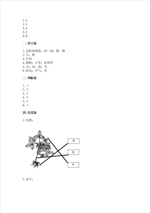 教科版科学一年级上册第一单元《植物》测试卷含答案（综合题）