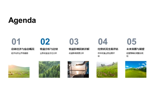 农业收益动态解析