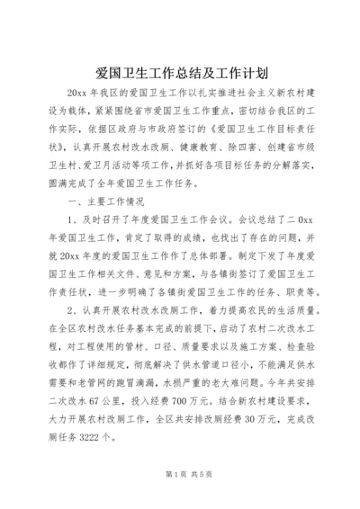 爱国卫生工作总结及工作计划.docx