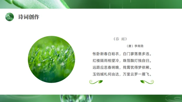 雨水绿色露水背景通用PPT模板